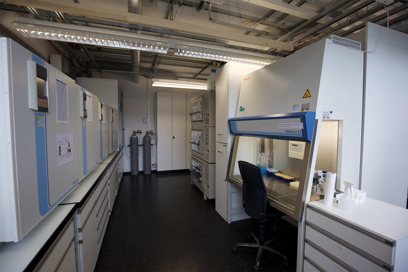 Enlarged view: A well equipped cell culture laboratory with two sterile workbenches, several incubators and shaking incubators for human and insect cell culture, wave bag incubator for large scale experiments and a Zeiss microscope with fluorescence lamp and a camera
